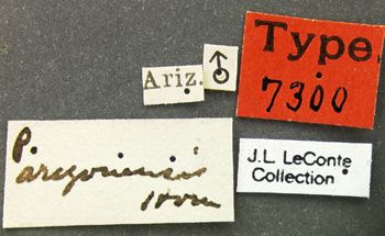 Media type: image;   Entomology 7300 Aspect: labels
